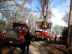 Lifting Tree